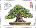 Forever Stamps 2012 Bonsai Trees Stamp