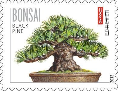 2012 Bonsai Trees Forever Stamps – product image 1