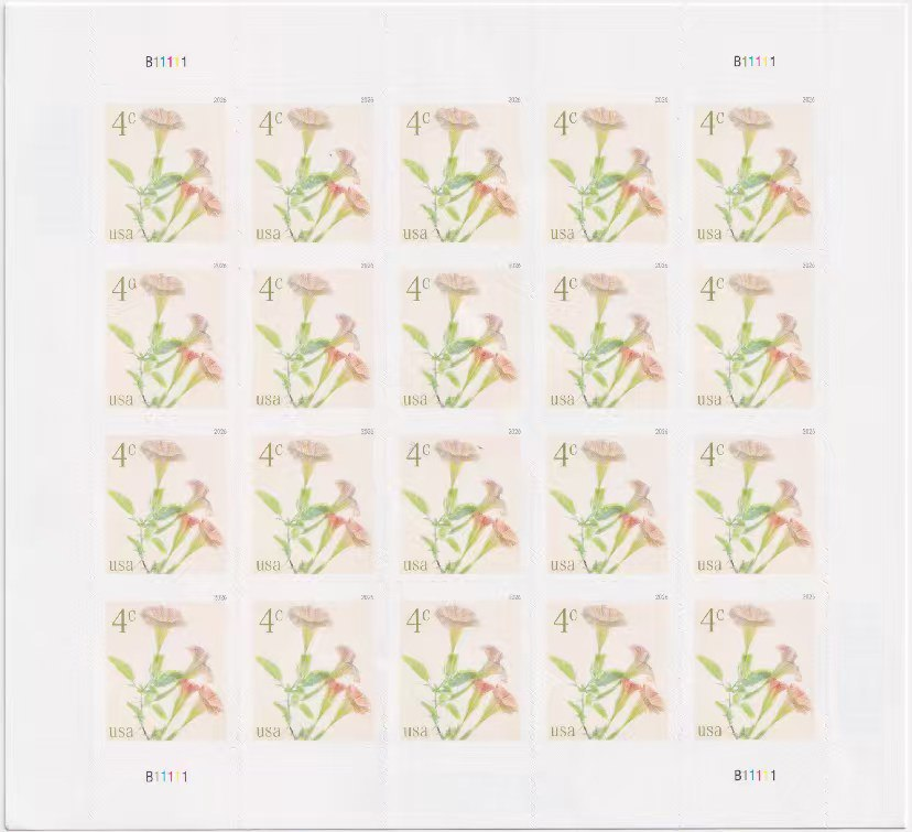 2026 Morning Glory 4-Cent Stamps