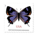 Colorado Hairstreak Stamps
