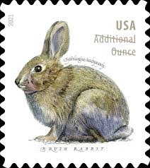 Brush Rabbit Stamps 2021