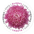 Global Chrysanthemum Forever Stamps 2020