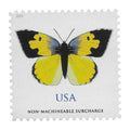 California Dogface Butterfly Stamp