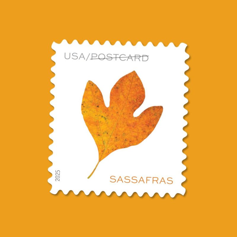 Vibrant Leaves Postcard Stamps 2025 (Book)