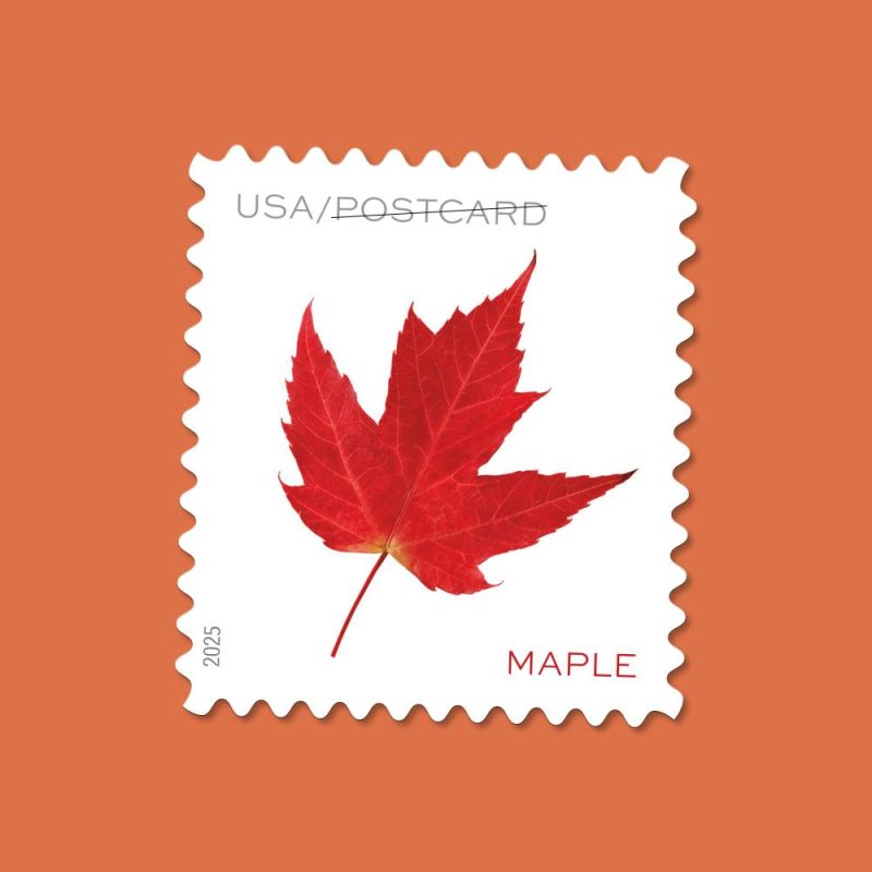 Vibrant Leaves Postcard Stamps 2025 (Roll)