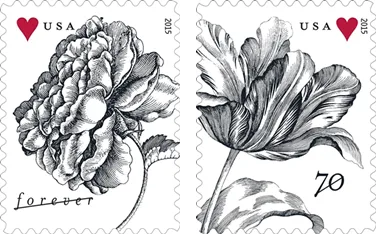Engraved Vintage Rose Stamps 2015