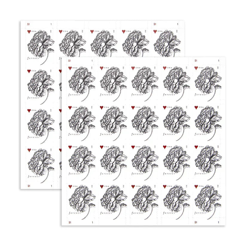 Engraved Vintage Rose Stamps 2015