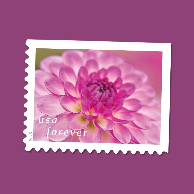 Dahlias Stamps 2025