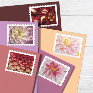 Dahlias Stamps 2025