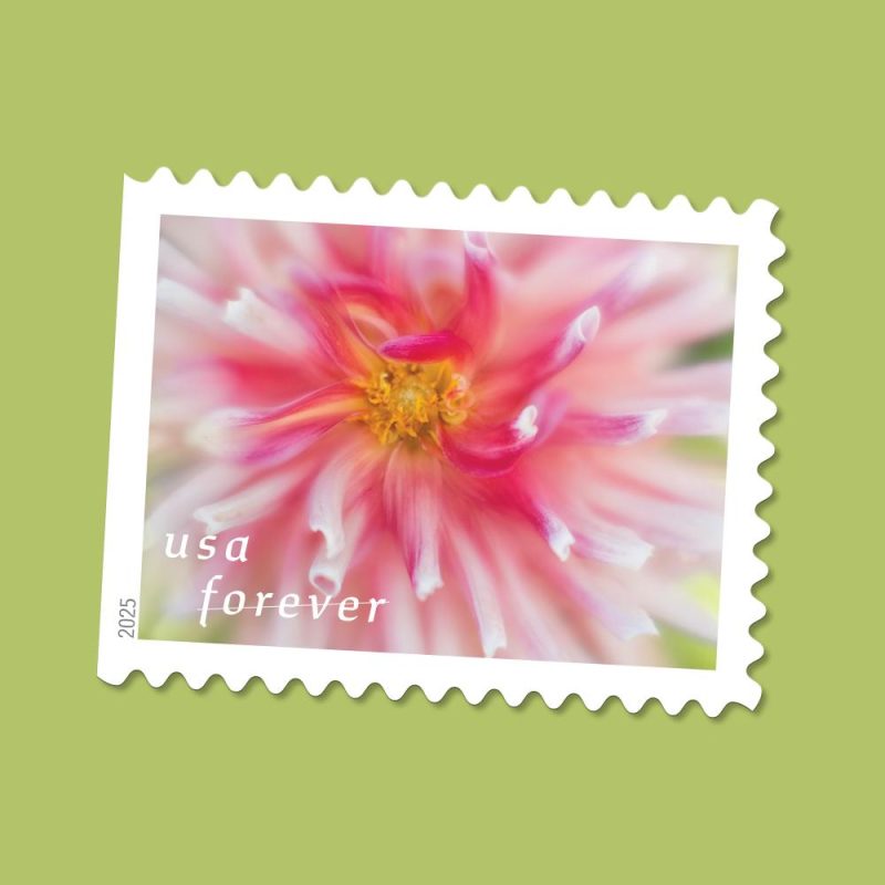 Dahlias Stamps 2025
